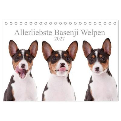 Allerliebste Basenji Welpen 2027 (Tischkalender 2027 DIN A5 quer), CALVENDO Monatskalender