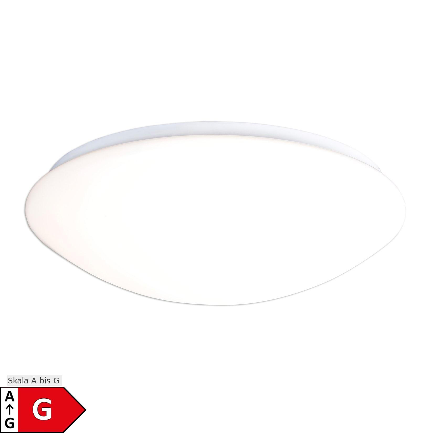 Näve LED Deckenleuchte "BERN" d:35cm