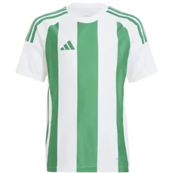 adidas Striped 24 Trikot Kinder -grün/weiß - 152
