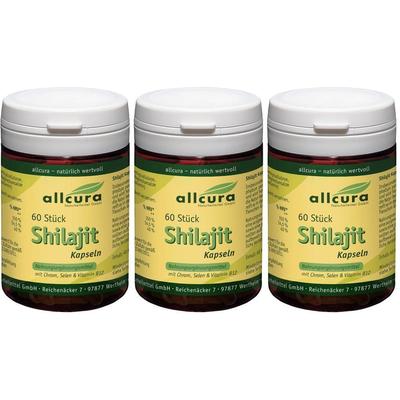 Shilajit Kapseln x3 3x60 St