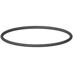 Dornbracht O-Ring Ersatzteile 091410046 D. 49 x 2 mm 09141004690