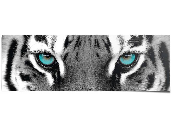 Poster REINDERS Sibirischer Tiger , schwarz (farbe bild(er): schwarz, weiß), B:158cm H:53cm T:0,1cm, Papier, Bilder, Poster