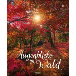 Korsch, Kalender, Augenblicke im Wald 2027