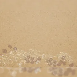 Pronappe 334158I Schachtel mit 400 Tischsets, geprägtes Recyclingpapier 80g/m2, Kraft floralFormat 30x40cm Floral