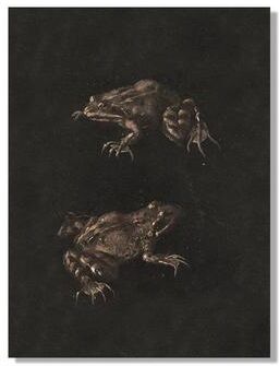 Inspire Essentials Vintage Owl Wall Art Dark Academia Canvas Cottagecore Nature Decor 9 60x90 Cm No Frame