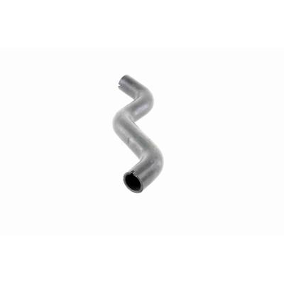VAICO Kühlerschlauch Original Qualität v240874 für Fiat