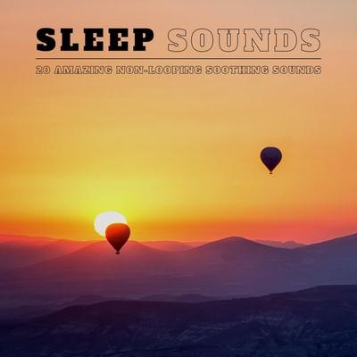 Sleep Sounds: 20 Amazing Non-Looping Soothing Sounds - Institute For Stress Relief, Audio, 4066338442802
