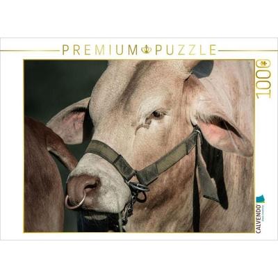CALVENDO Puzzle Ausdrucksstarkes Zwergzebu-Portrait | 1000 Teile Lege-Größe 64x48cm Foto-Puzzle für glückliche Stunden, von , Calvendo Puzzle