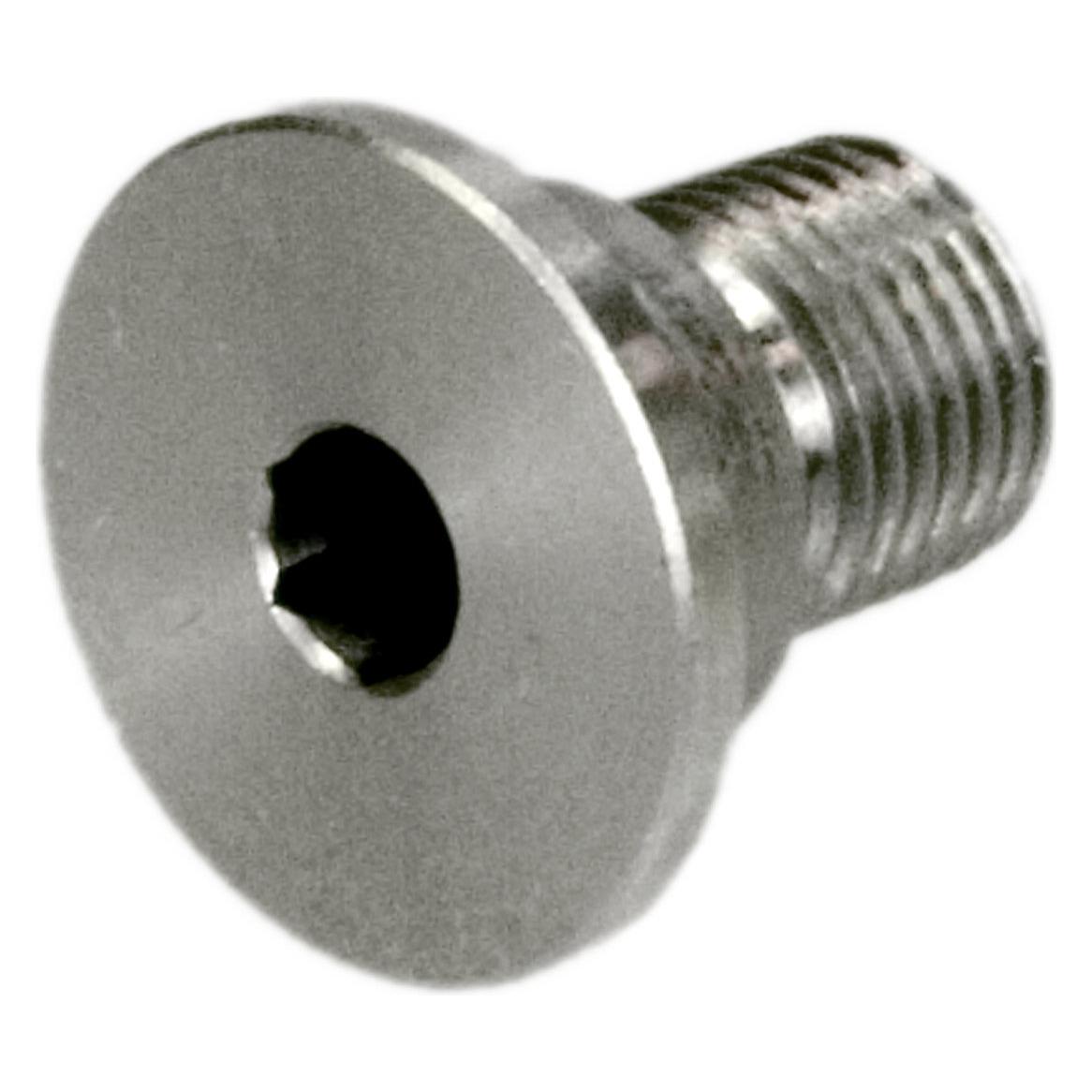 Rohloff Rahmenschraube für Kettenspanner (39754906)