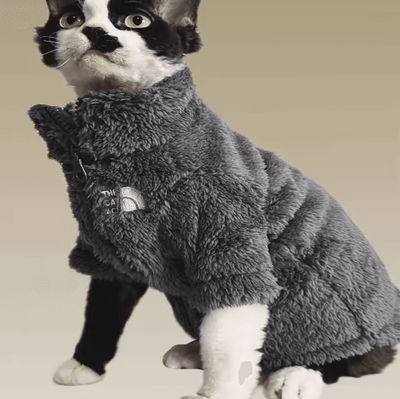 Inspire Picks Winter Lambswool Coat For Hairless Cats & Small Pets gray m(1.5 2kg)