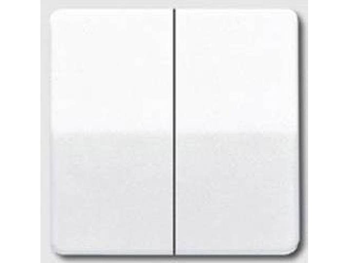 Jung CD500 Schakelelement/Centrale Plaat - CD595WW - E2V36