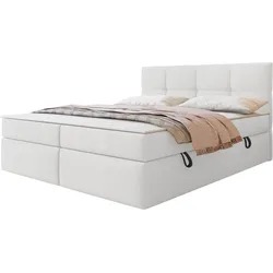 BOXBETT Figaro - H3