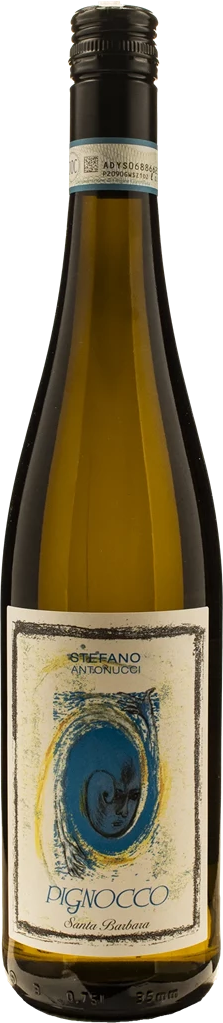 Santa Barbara Stefano Antonucci Verdicchio Castelli di Jesi Pignocco 2025