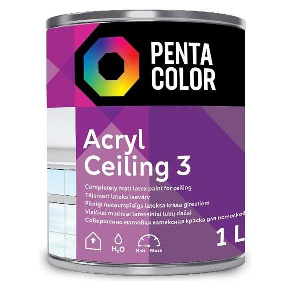 Pentacolor Dispersion Paint Acryl 3 (1000 ml) (33039198)
