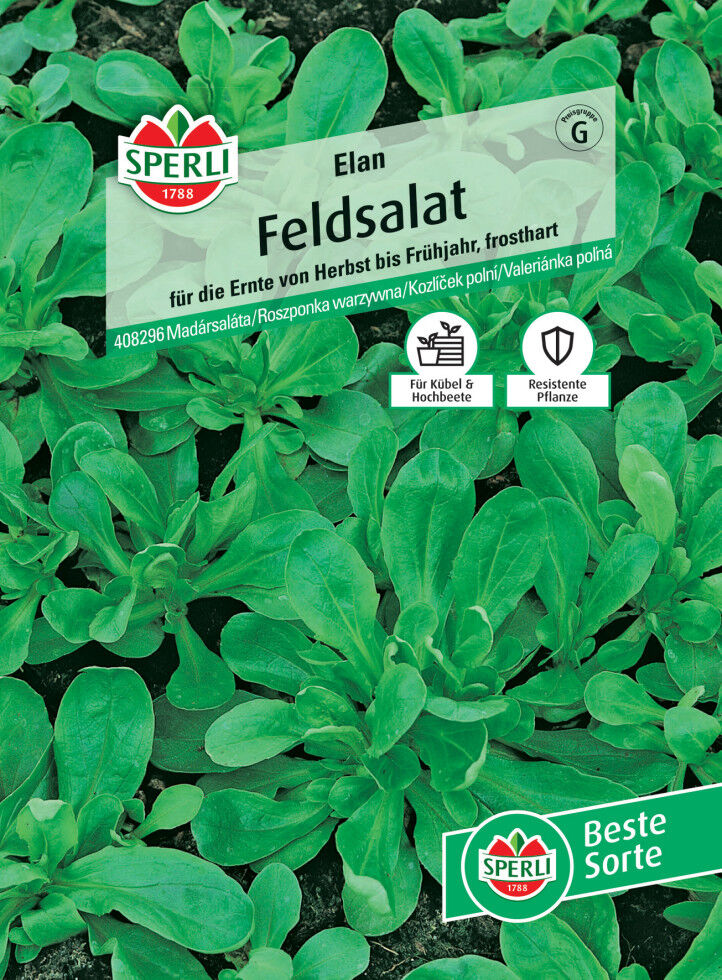Sperli Feldsalat Elan