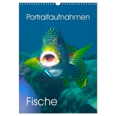 Portraitaufnahmen - Fische (Wandkalender 2026 DIN A3 hoch), CALVENDO Monatskalender