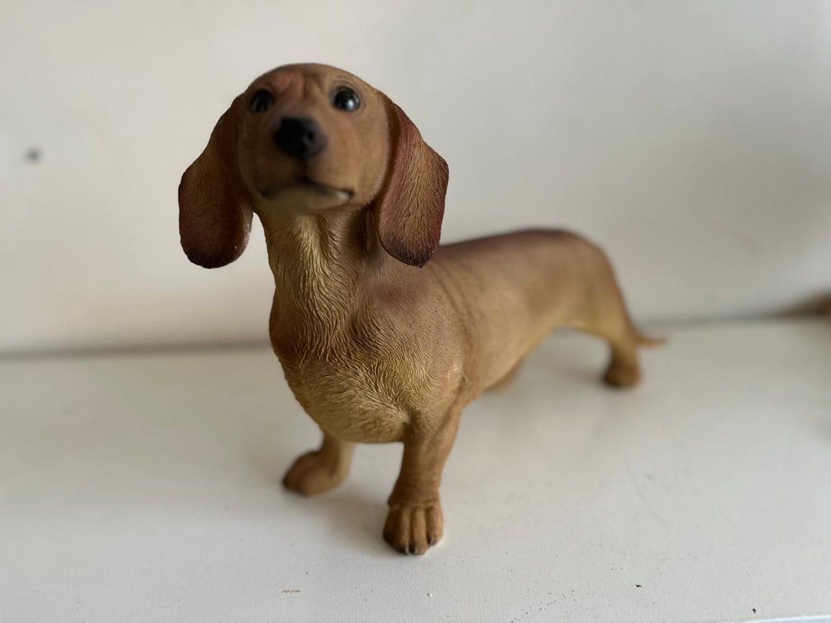 Goodyz Teckel Huisdier Figuur Bruin Hoogte: 25 cm