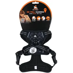 Spotted Pro Spotted! PRO Geschirr Anthrazit XXS (XXS, Hund, Allgemein, Spazieren), Halsband + Leine