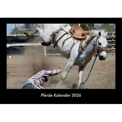 Pferde Kalender 2026 Fotokalender DIN A3