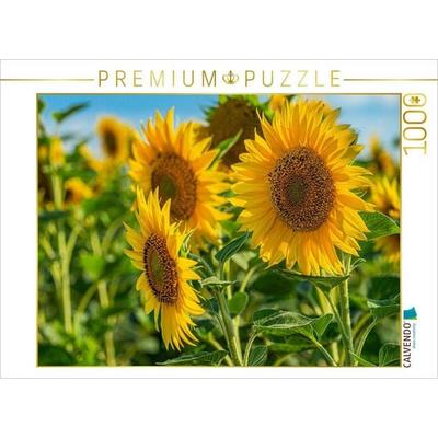 CALVENDO Puzzle Nicht die Jahre in unserem Leben zählen, sondern das Leben in unseren Jahren | 1000 Teile Lege-Größe 64 × 48 cm Foto-Puzzle für
