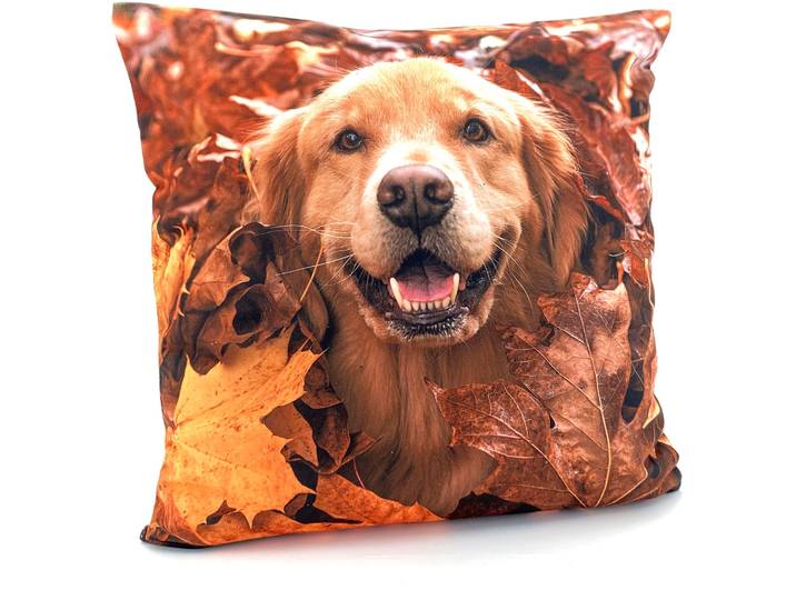 Dekokissen WECKBRODT Golden Retriever Gr. 1, bunt (multi, gemustert), B:40cm L:40cm, Obermaterial: 100% Polyester, Dekokissen_Sitzkissen_Kissenhüllen, Dekokissen