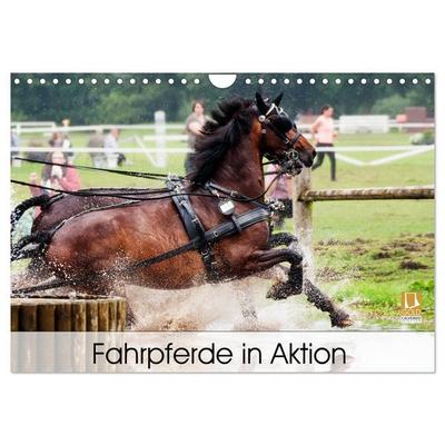 Fahrpferde in Aktion (Wandkalender 2026 DIN A4 quer), CALVENDO Monatskalender