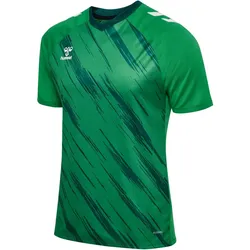 hummel hmlMATCH Triumph Fußballtrikot 6439 - jelly bean/botanical garden XXL