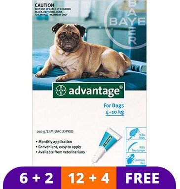 Advantage Medium Dogs 11-20lbs (Aqua) 12 Doses + 4 Free