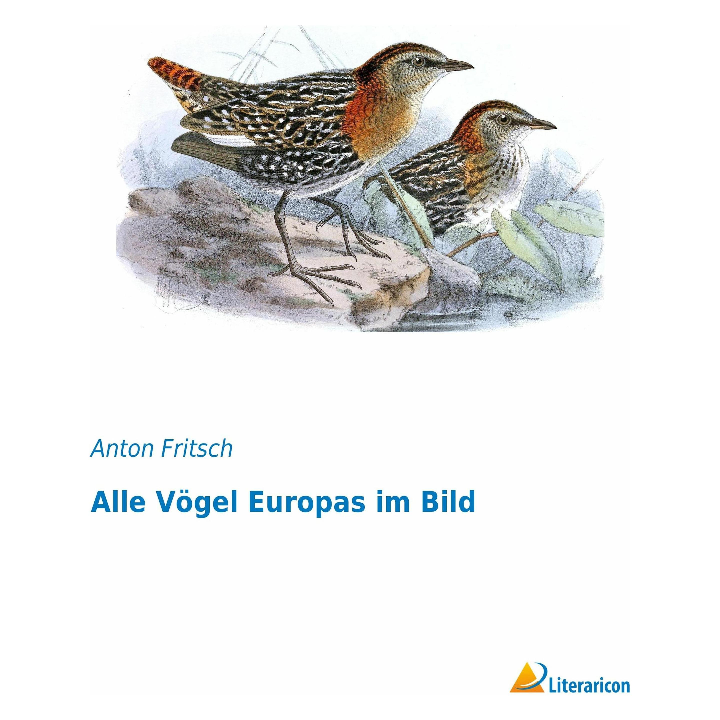 Literaricon Alle Vögel Europas im Bild (Deutsch, Softcover, Anton Fritsch) (7563976)