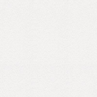 Brewster Kiefer White Bark Paintable Wallpaper - 396in x 20.9in x 0.025in