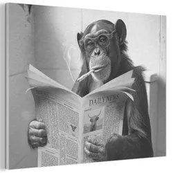 AKUSTIKBILD Affe - WC - Zeitung - Schwarz-Weiß - Humor Wandbild Wohnzimmer 100x70 cm