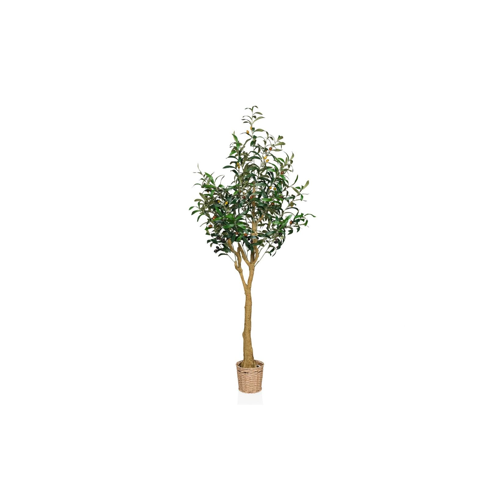 hjh OFFICE Kunstpflanze OLIVE II Kunststoff