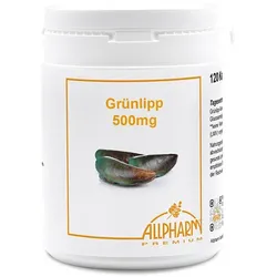 GRÜNLIPPMUSCHEL KONZENTRAT 500 mg Kapseln 120 St