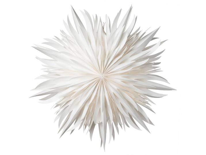 Watt & Veke Étoile de Noël Eldig Ø52 cm Blanc