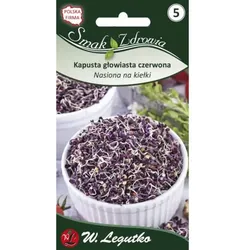 Keimsaat – Rotkohl