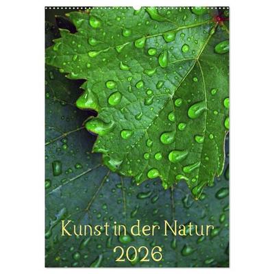 Kunst in der Natur (Wandkalender 2026 DIN A2 hoch), CALVENDO Monatskalender