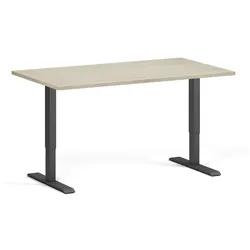 Höhenverstellbarer Schreibtisch, 2 Motoren, 74-121 cm, Tischplatte 140x80 cm, schwarzes Metallgestell, Eiche natur