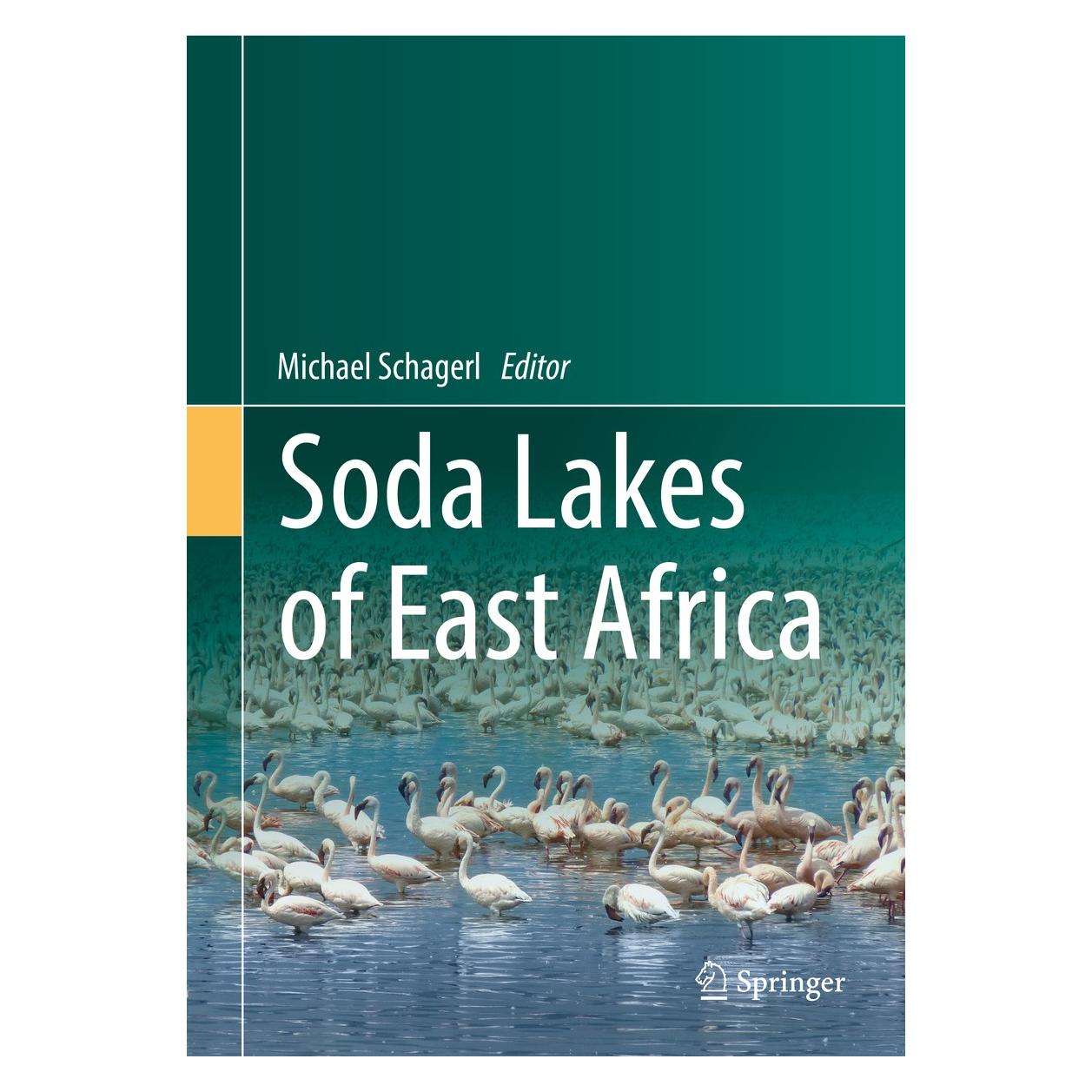 Springer Soda Lakes of East Africa (Englisch, Hardcover, Michael Schagerl) (9783319286204)