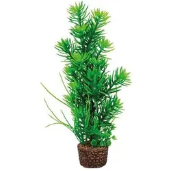 Hobby Flora Stone 5 (Dekoration, Pflanzen), Aquarium Dekoration