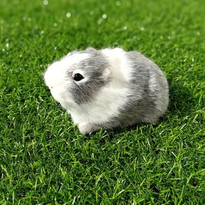 Perfect Picks Market Realistic Guinea Pig Plush Toy Soft Lifelike Hamster Stuffed Animal Gift For Kids gray