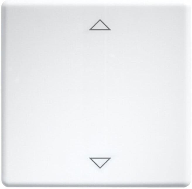 Eltako Wippe lasergraviert f.55x55mm rws W-FT55-wg+2P (30000981)