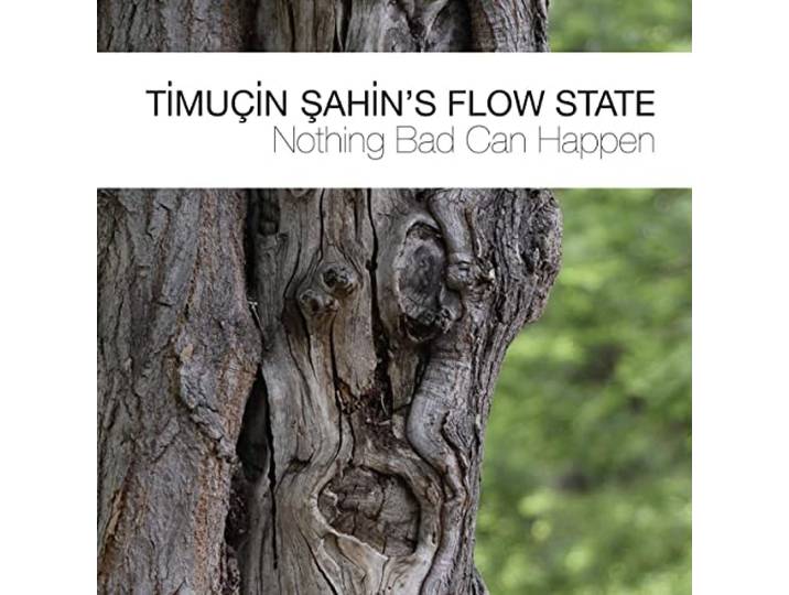 Timuçin Sahin's Flow State - Nothing Bad Can Happen