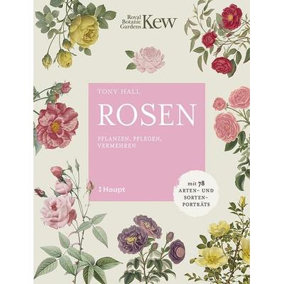 Rosen, Gebundene Ausgabe von Tony Hall, Haupt Verlag, 978-3-258-08259-2