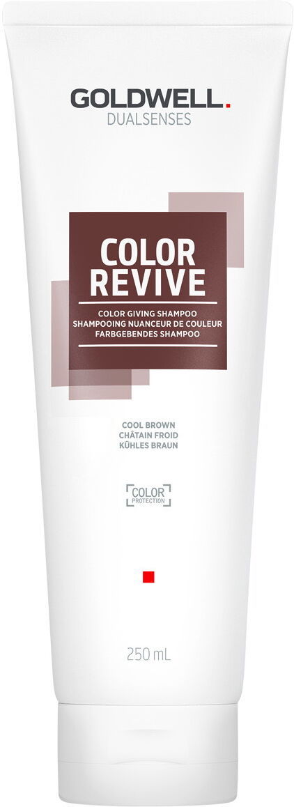 250ml Goldwell Dualsenses Color Revive Farbgebendes Shampoo