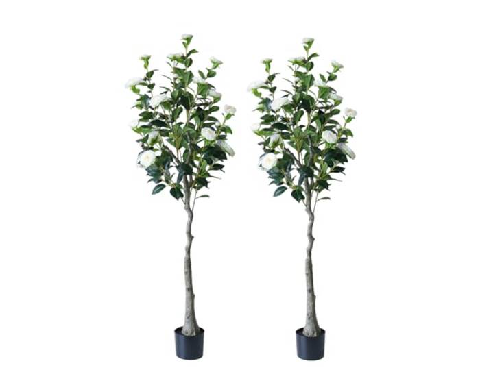 Zstar 150cm Künstlicher Kamelienbaum, 2 Stück Groß Künstliche Kamelienpflanzen im Topf mit Blumen für Innendeko, Groß Realistischer Pflanzen Kamelienbaum Deko für Zuhause, Wohnzimmer, Büro, Garten