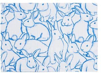 C&F Home Blue Bun & Plaid Placemat, Set of 6