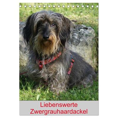 Liebenswerte Zwergrauhaardackel (Tischkalender 2026 DIN A5 hoch), CALVENDO Monatskalender