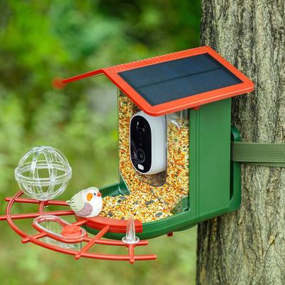 Matrix Decor Smart Solar-Powered Bird Feeder with Camera, AI Recognition,144° Wide-Angle Lens and App