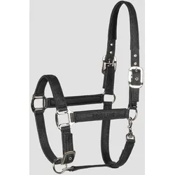 Halfter EQ Eqglep 262 Black VB