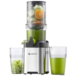 Amzchef CE-ZM1902M-SV Slow Juicer (Silver), Entsafter, Silber